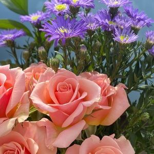 Meet your Posher, Ava